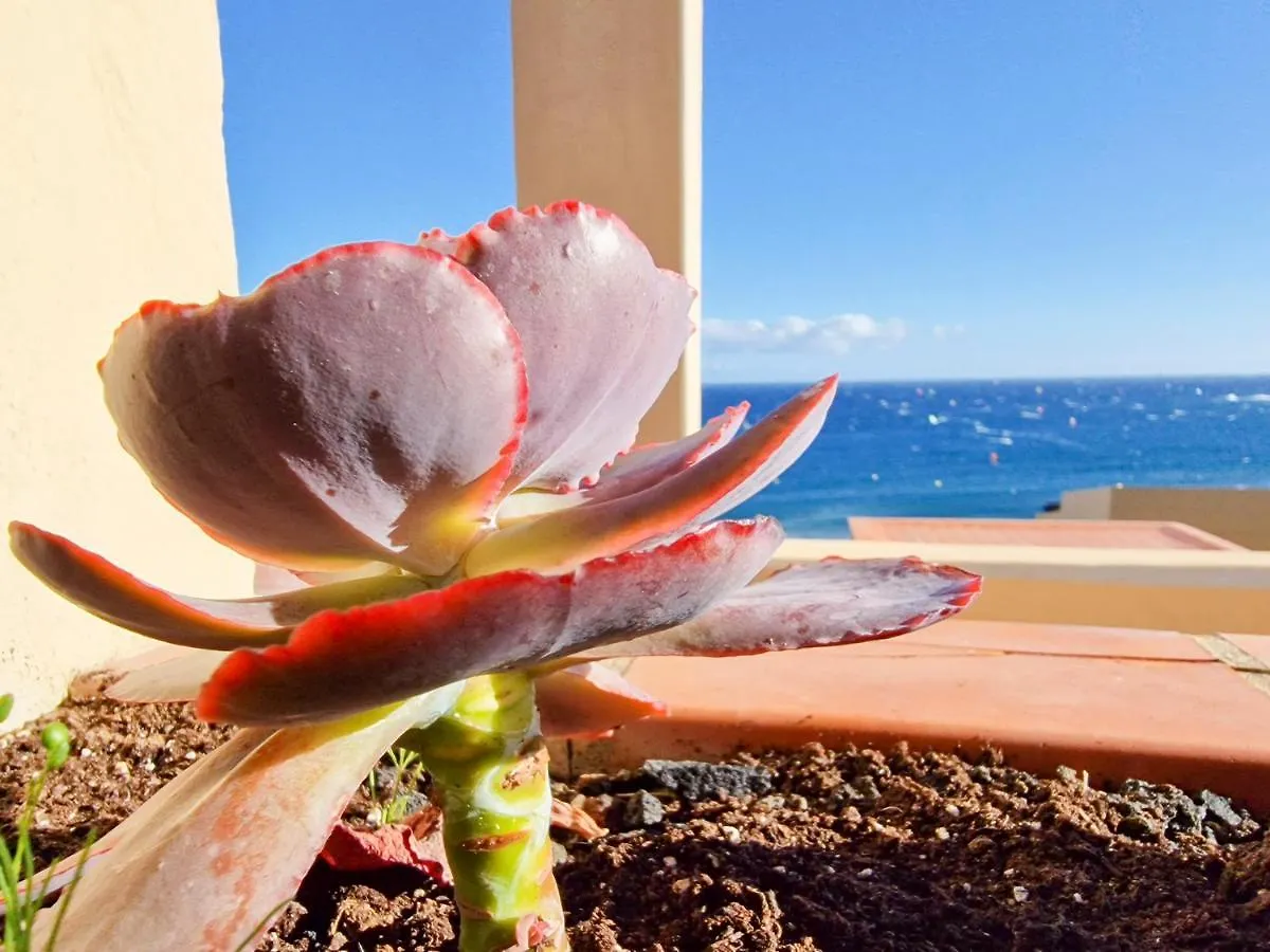 Medano4You The Ocean Terrace Penthouse El Médano